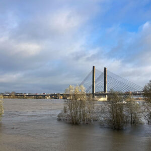 Martinus Nijhoffbrug Bij Zaltbommel