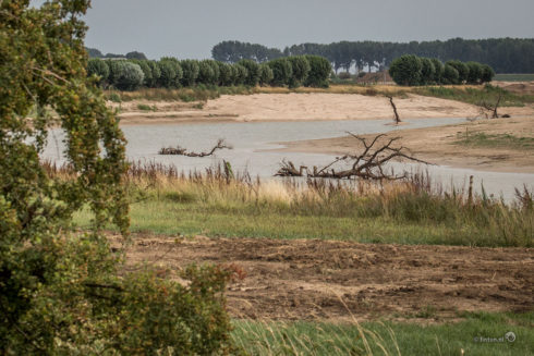 De Herinrichting Van De Heesseltsche Uiterwaarden Is Gereed