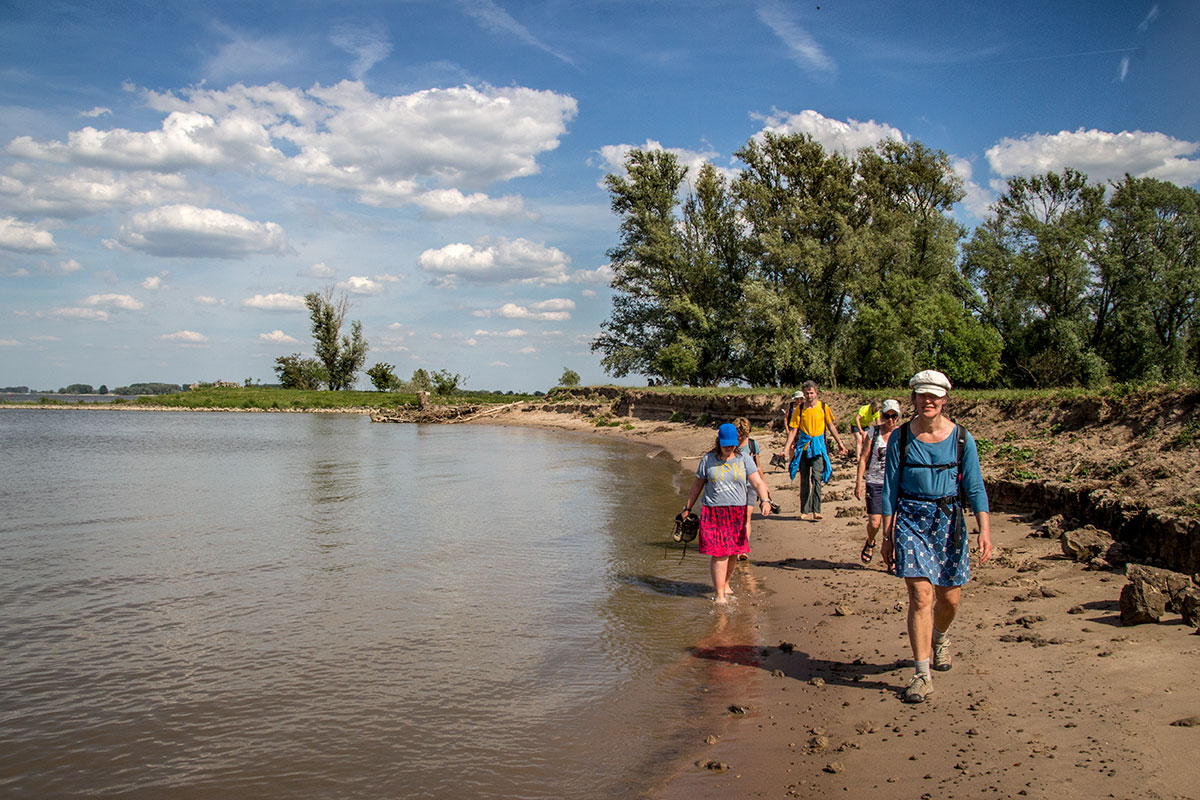Excursie Zomerstruintocht In Bemmel