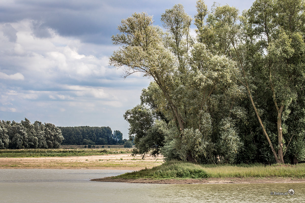 Zomeravondwandeling In Heesseltsche Uiterwaarden