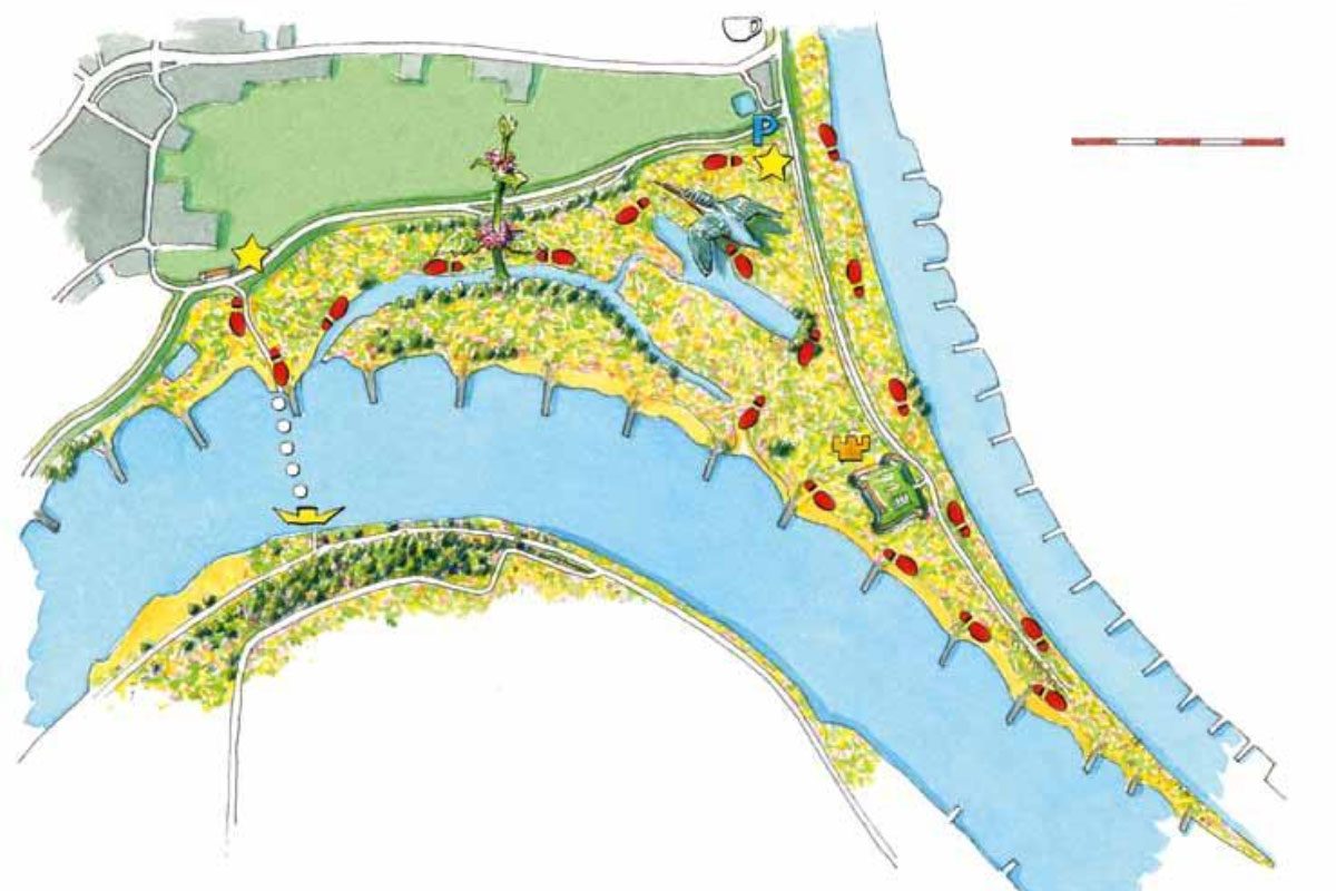 Excursie Stroomdalflora In De Klompenwaard