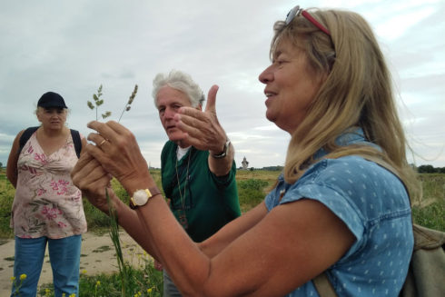 Plantenexcursie In Kleine Willemswaard Tiel