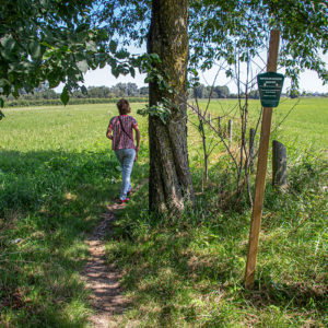 Bij De Uitbreiding Van Het Klompenpad Rechts