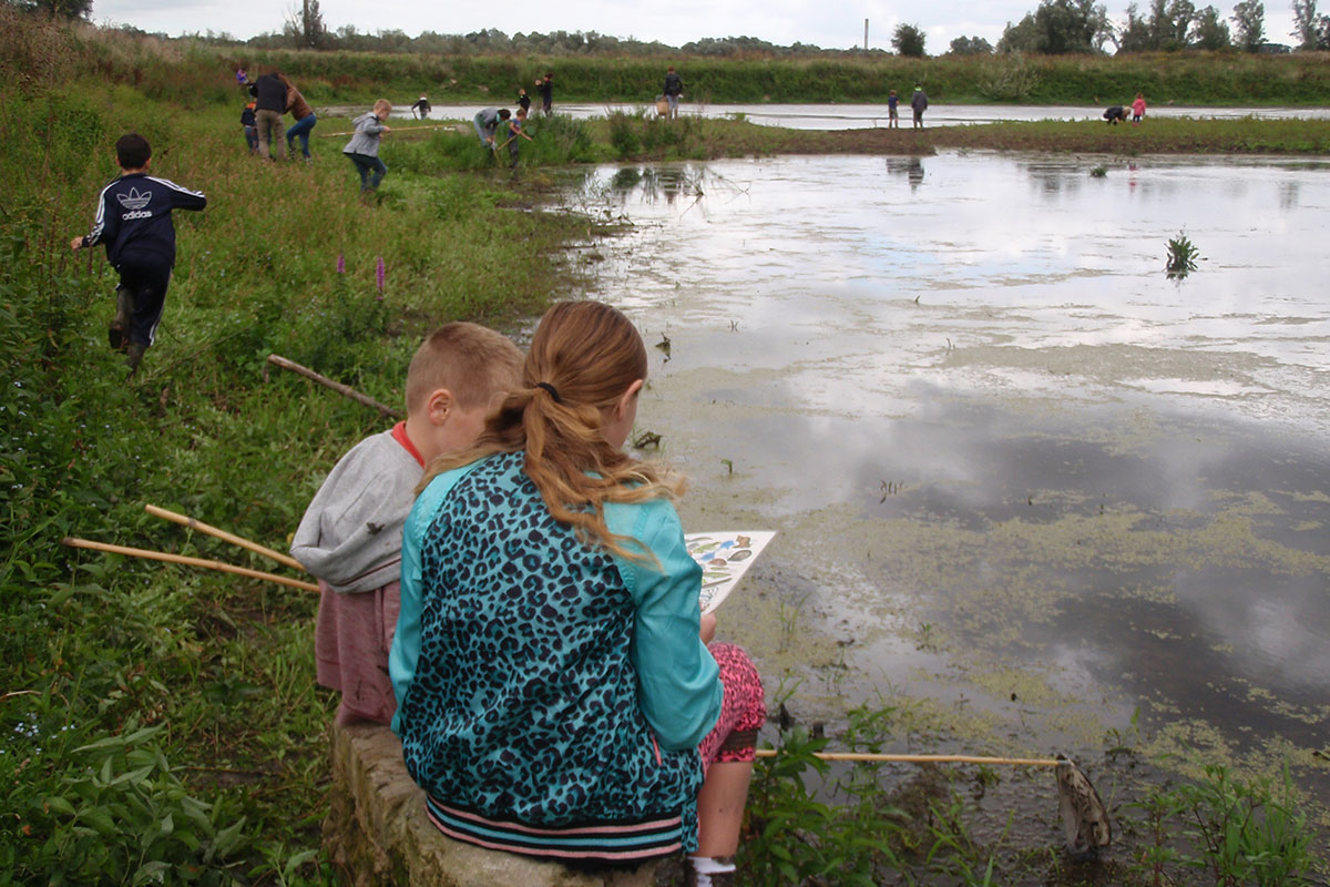 Waterbeestjes Vangen Bij Dijkmagazijn Beuningen