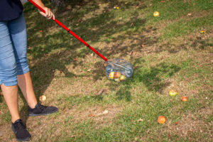 Er is ook een handige appelraper