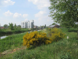 Brem in Ulft, in de verte de brug met hotel Sluis Het witte gebouw is een woonflat.