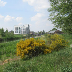 Brem In Ulft, In De Verte De Brug Met Hotel Sluis Het Witte Gebouw Is Een Woonflat.
