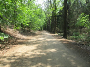Terborg, Paasberglaan