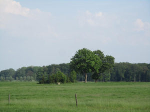 Zwanenburg