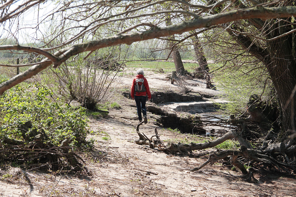 Belevingstocht Dreumelse Waard Met Wandelcoach Ton