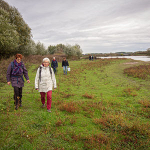 IMG 8090
