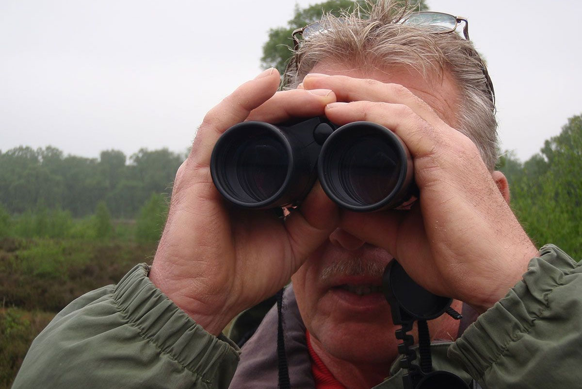 Trekvogels Kijken En Luisteren