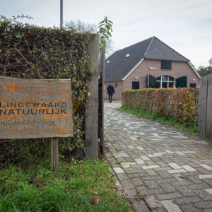 IMG 8356