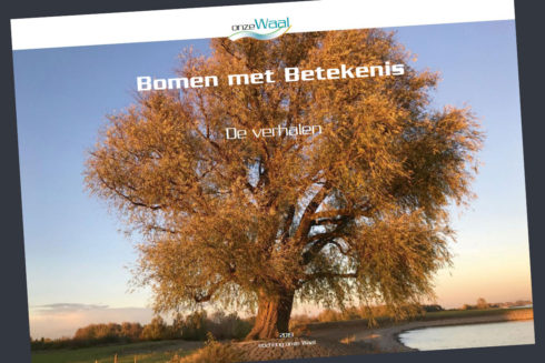 De Mooiste Verhalen Over ‘Bomen Met Betekenis’