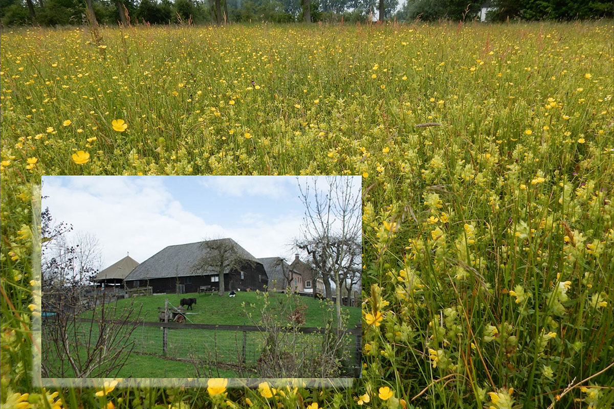 Lezing: Het Ontstaan Van Het Rivierenlandschap