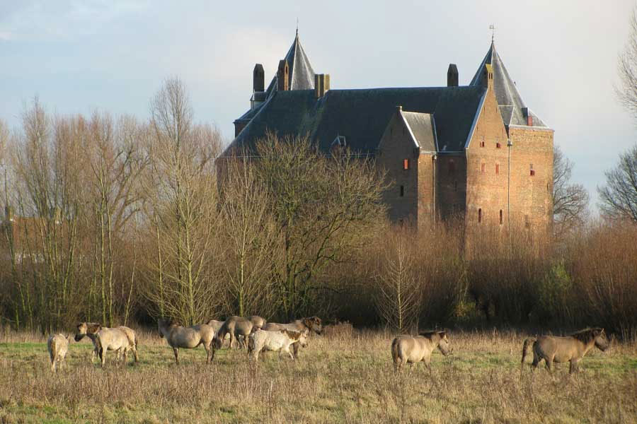 Groene Voornemens Wandeling Munnikenland