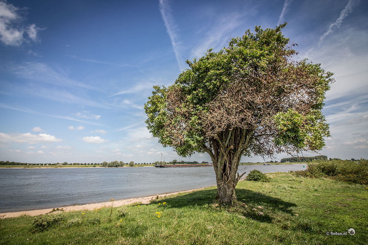 Presentatie: ‘Geniet Van Natuur’ Met Koos Dijksterhuis