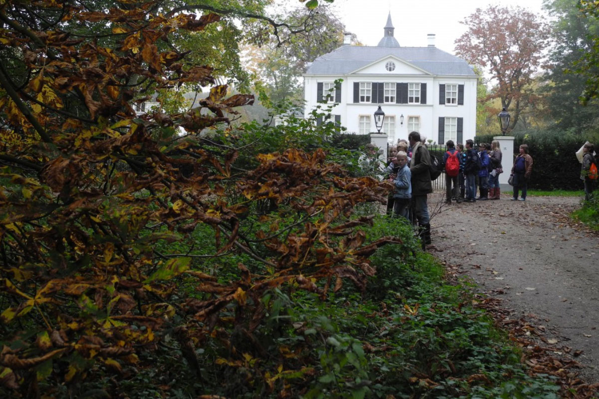 Wandeling In Het Loenense Bos