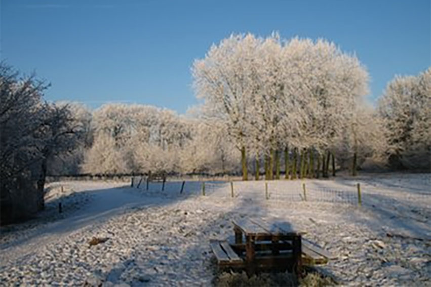 Wintersferen Op Landgoed Waardenburg En Neerijnen