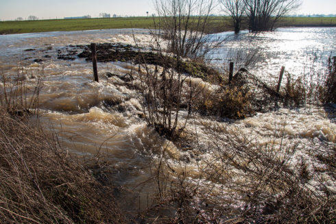 Hoogwater In Rivierenland