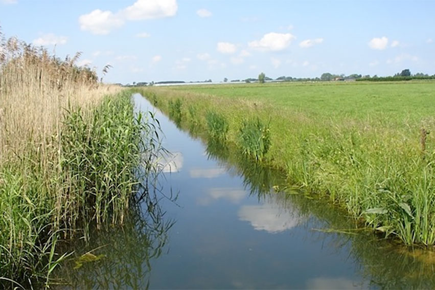 Lezing ‘De Tielerwaard: Ooit Een Middeleeuws Natuurgebied, Nu Een Rationeel Landbouwgebied’