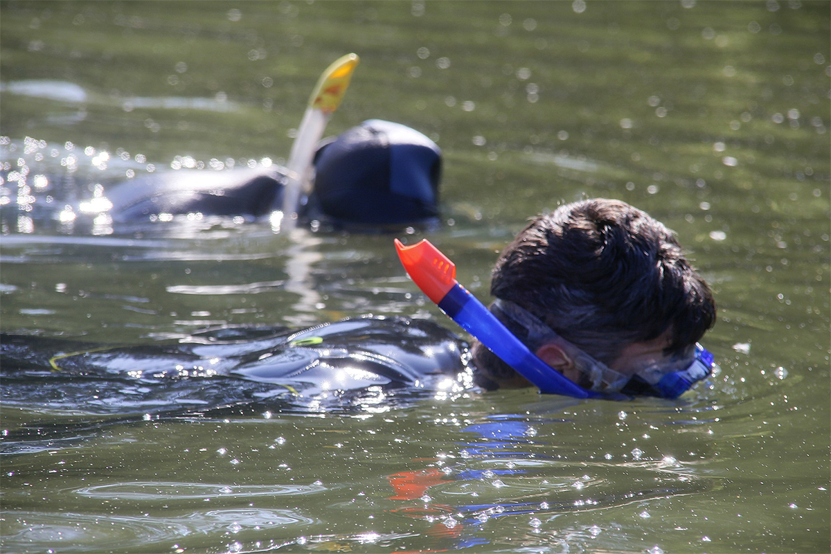 Snorkelen In De Millingerwaard