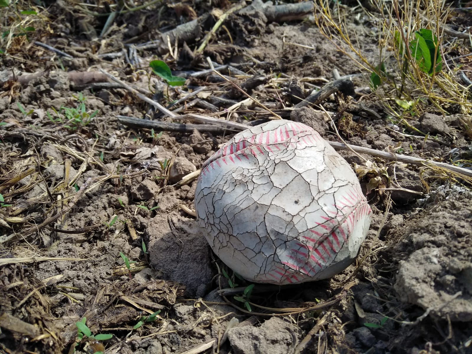 Honkbalbal