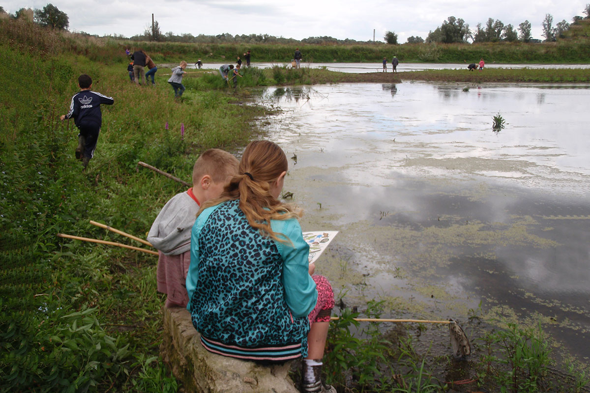 Waalwoemi: Waterbeestjes Vangen