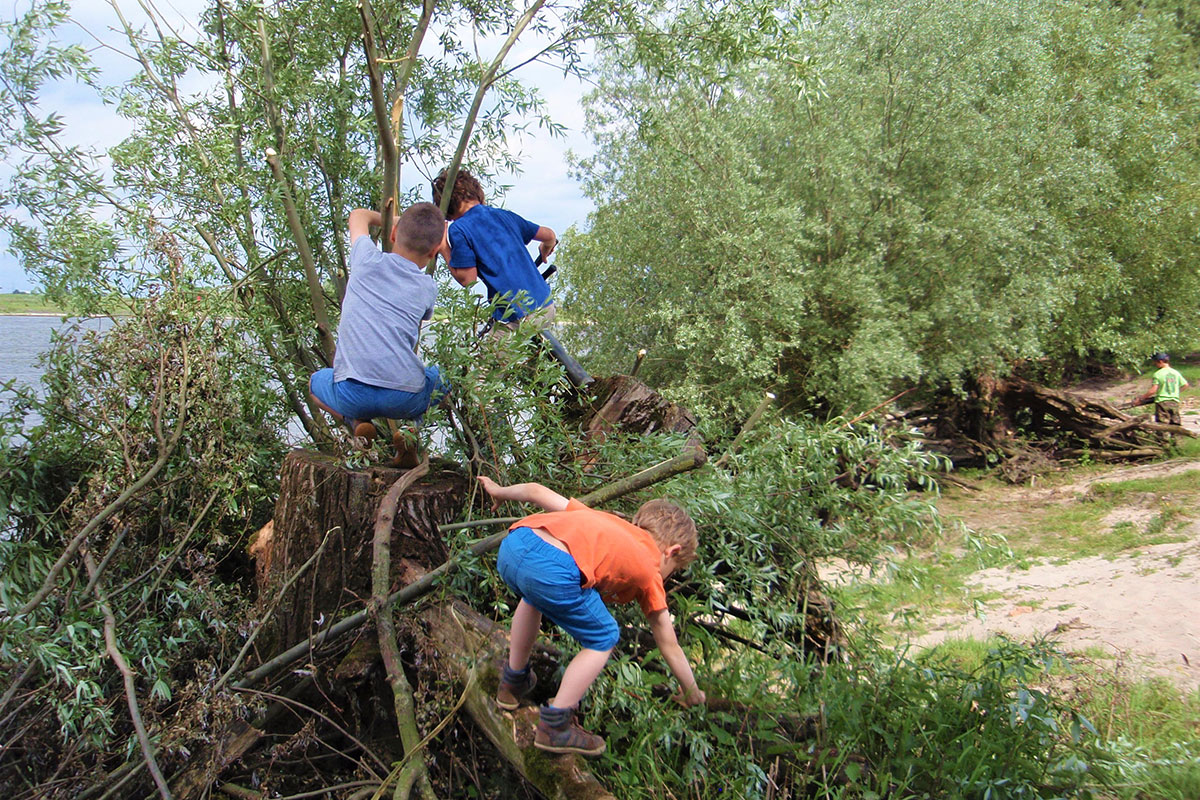 Takkenweek Aan Het Waalstrand