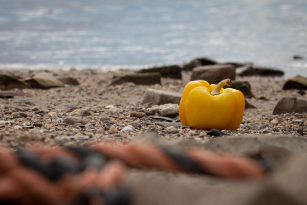 paprika struinvondst groente