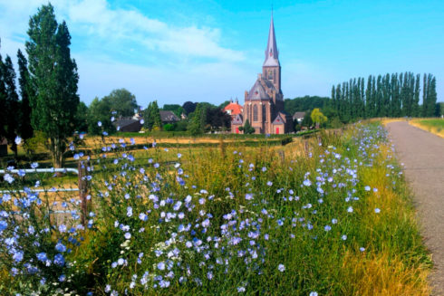Dijkterras Beuningen Ook Tijdens Alternatieve 4-daagse Geopend
