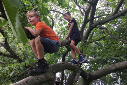 Eerste Ontdekkingstocht In Willemswaard
