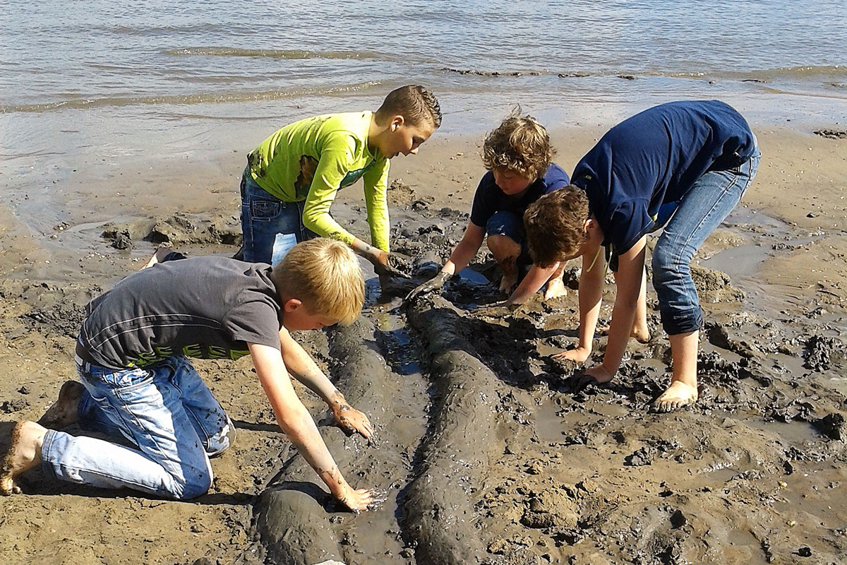 Waalwoemi: Jonge Wateringenieurs Gezocht