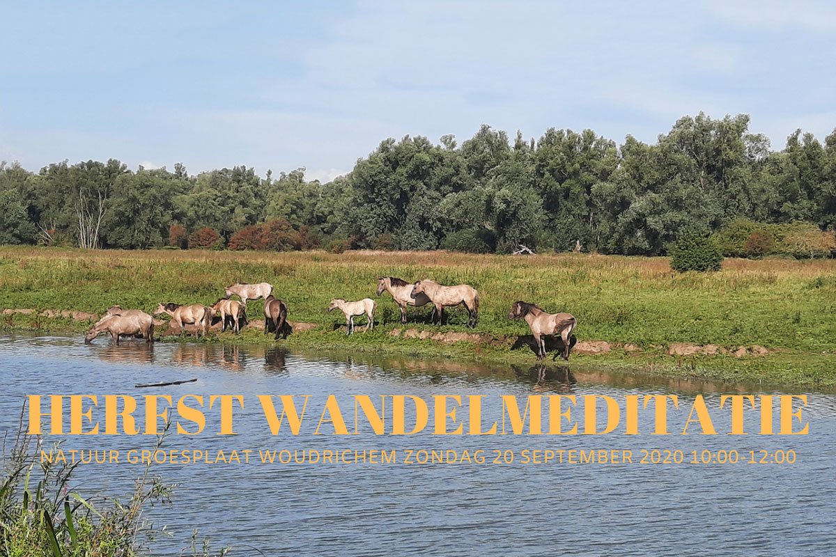 Herfst Wandelmeditatie Natuur Groesplaat Woudrichem