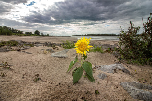 Fotoreportage Kaliwaalduin