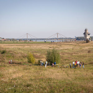IMG 4294
