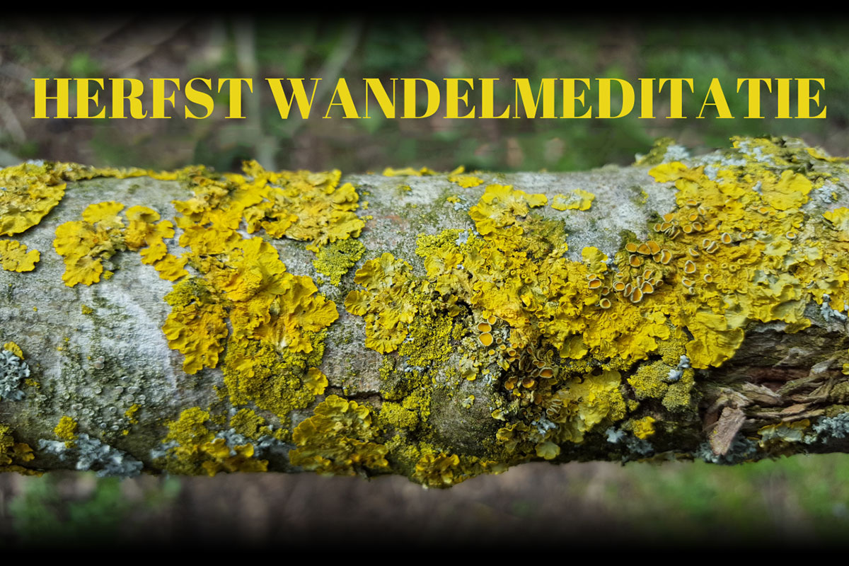 Herfst Wandelmeditatie Avelingen