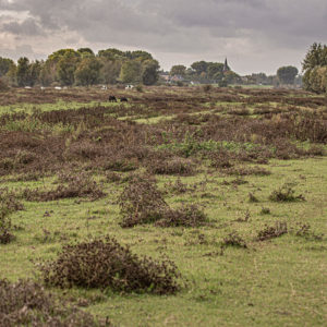 IMG 4566