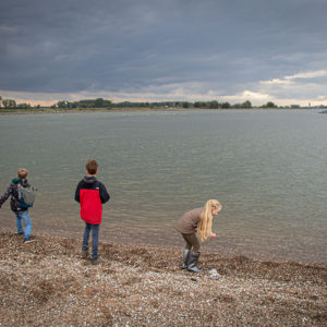 IMG 4592