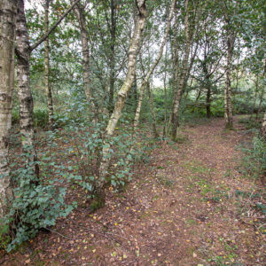IMG 4693