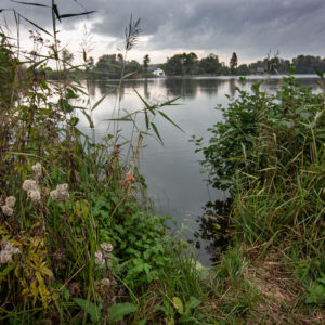 IMG 4732