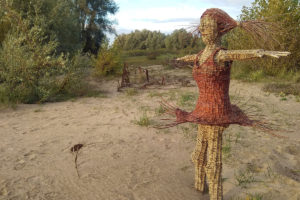 wilgentenen danseres