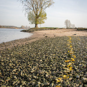 Vloedlijn Lekoever