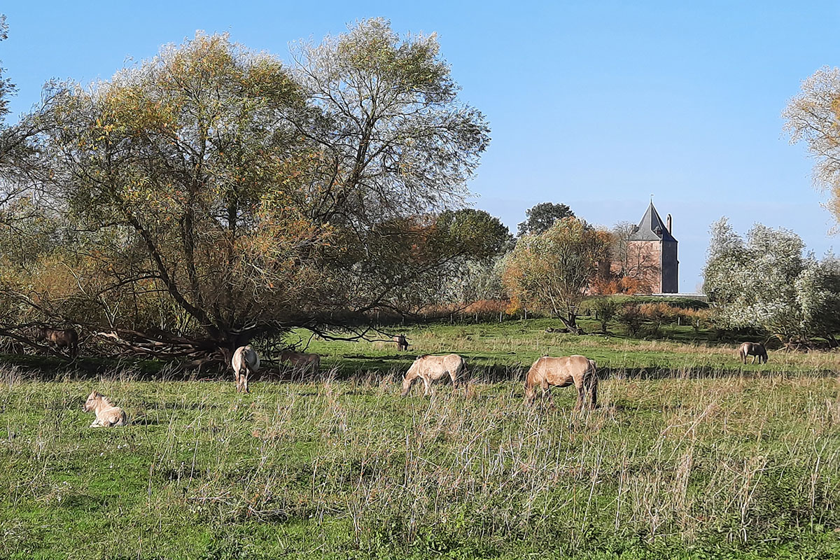 Herfst Wandelmeditatie Munnikenland