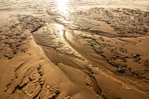 Rondje Heesseltsche Uiterwaarden In December