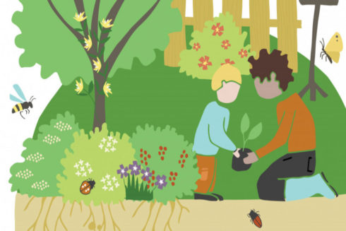800 Tuiny Forests Maken Nederland Weer Wat Groener