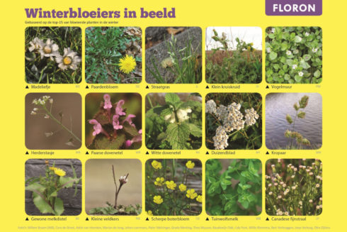 Floron Eindejaars Plantenjacht