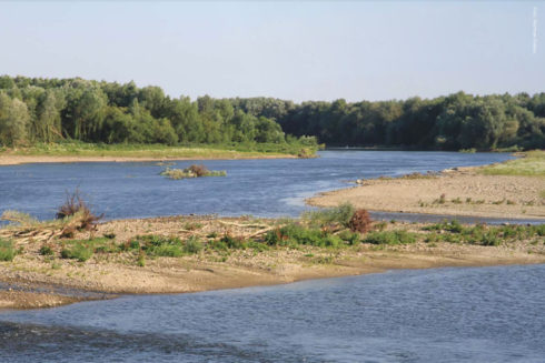 Resultaten Van 30 Jaar Natuurontwikkeling Langs De Grensmaas