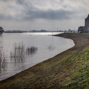 Veerhuis Varik Met De Iconische Schietwilg