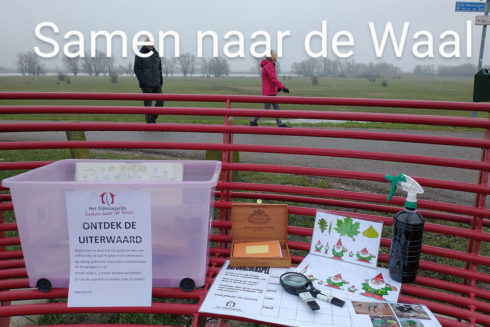 Ontdekkist Op De Dijk